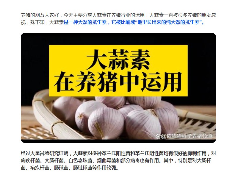 大蒜素在養(yǎng)豬行業(yè)的運用，您了解多少？
